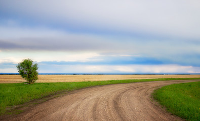 A winding dirt road under a cloudy sky in an agricultural summer landscape