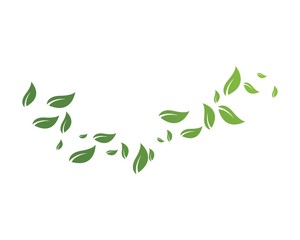 green leaf ecology