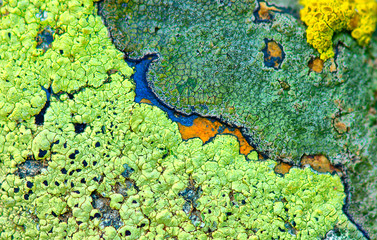 Stone texture closeup background