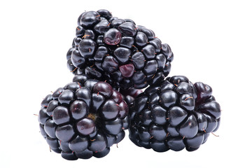 Macro shot of fresh ripe organic blackberry isolated on white background.