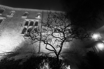 Black and white effect of tree in the garden of ancient monastery transformed into a castle, immersed in the fog, Cison di Valmarino, Italy