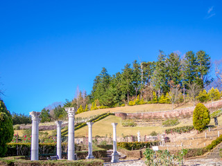 【静岡県伊豆市】ローズガーデンの風景【初冬・修善寺虹の郷】