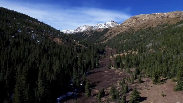 Drone footage of trees and mountains in a national forest in Colorado