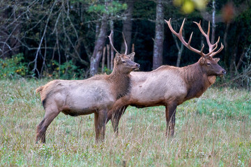 Teaching the Next Generation