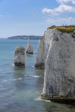 Cliff coast at Old Harrys Rocks, Studland, England, Great Britain