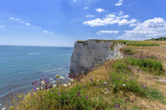 Cliff coast at Old Harrys Rocks, Studland, England, Great Britain