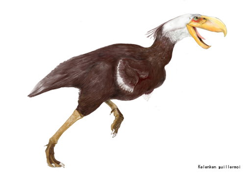 ケレンケン　新第三紀いわゆる中新世代の南アメリカに生息したといわれている。恐鳥類の一種である。フォルスラコス科であり、恐鳥類の中でも最大である。頭蓋の長さが７０センチに及び、長くて暑いくちばしの部分は45センチでした。鳥類史上最大の頭部といえる。イラストのイメージは白頭鷲の獰猛と気高さ。