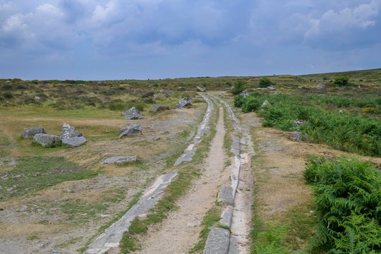 Granite rails of the horse-drawn railway, Dartmoor NP, Haytor, England, Great Britain