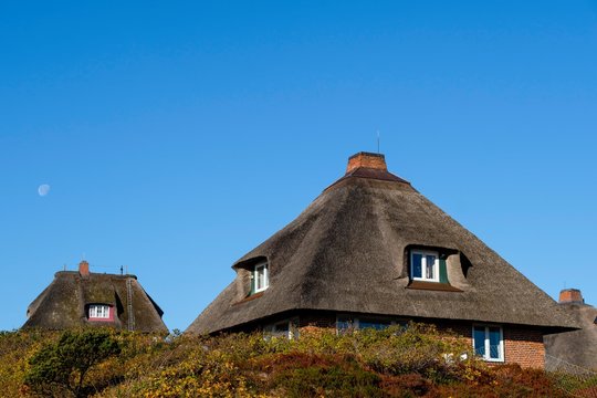 Typical Frisian houses with thatched roofs in the dunes of Hornum, Sylt, Nordfriesland, Schleswig-Holstein, Germany, Europe