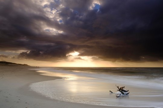 Beach at the Ellenbogen, the northern tip of Sylt, Nordfriesland, Schleswig-Holstein, Germany, Europe