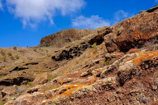 Colourful lichens on volcanic rock, Barranco de la Barca, Mount Calvario, near Alajero, La Gomera, Canary Islands, Spain, Europe