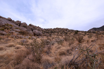 New Mexico Trails