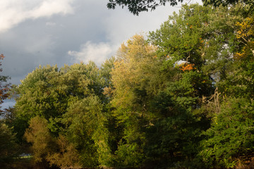 wide angle view of lake lined with forest trees on an autumn afternoon