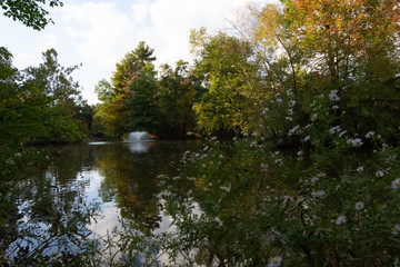 water fountain in the middle of a pond in a park on a spring afternoon