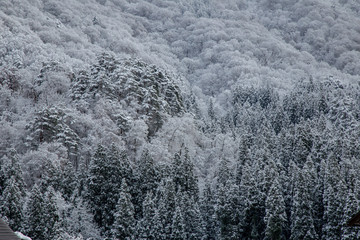 Nature of Shirakawa-go village area on winter one of UNESCO world heritage sites, Gifu, Japan