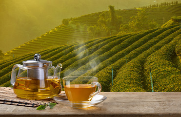 Fototapety  Ciepła filiżanka herbaty i szklane dzbanki lub słoiki i liść herbaty na drewnianym stole z tłem plantacji herbaty