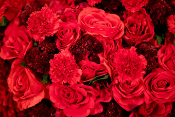 beautiful flower background