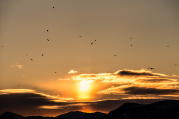 Dramatic sunrise with a sun beam and bird flying all around.