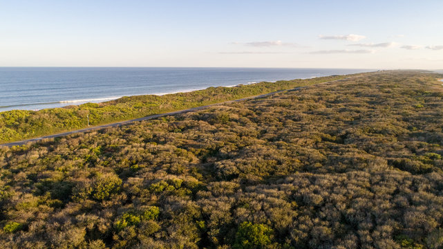 Guana Preserve aerial in Florida