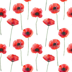 Seamless pattern with poppies, hand drawn illustration