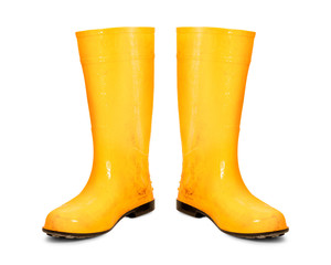 Yellow rubber boots isolated on white background. Dirty boots. ( Clipping path )