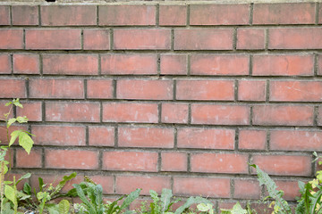 Texture of the wall for background. Red brick