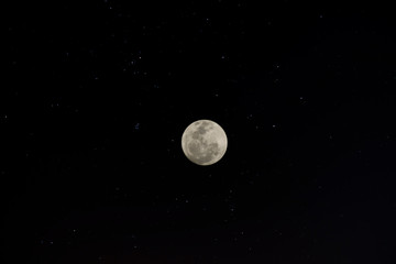 The full moon in the dark night.