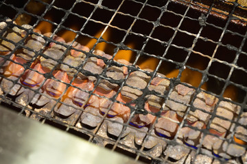 Japanese traditional BBQ