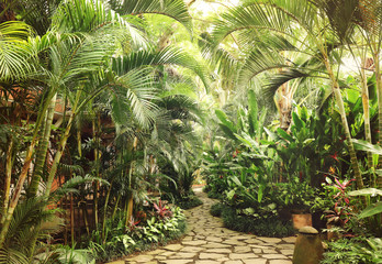 Beautiful tropical garden with palm trees and flowers.