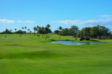 Golf in Maui, Hawaiian Islands