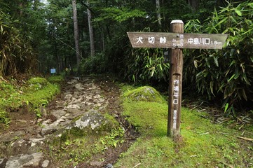 笠取山の登山口 作場平口