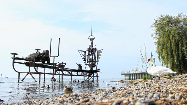 Birds near the Klangschiff in Friedrichschafen, Lake Constance, Germany