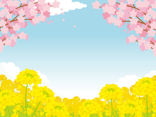Fototapeta premium 桜と菜の花 背景イラスト