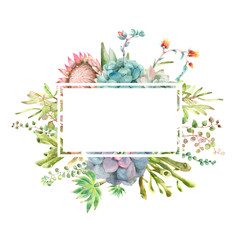 Succulents card watercolor