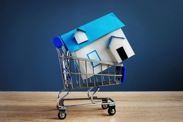 Shopping cart with model of house. Buy or sell property. © Vitalii Vodolazskyi