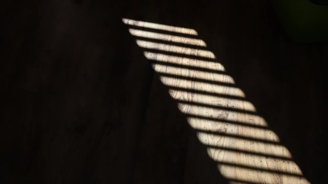 Sunshine on the floor