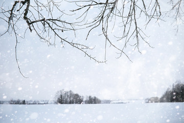 Winter landscape of country fields and roads