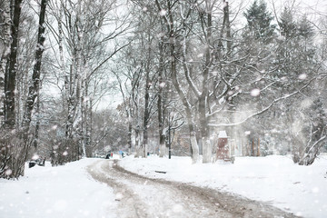 Fototapeta premium Winter landscape of country fields and roads