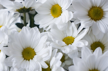 Obraz na płótnie Canvas Bouquet of white flowers close up