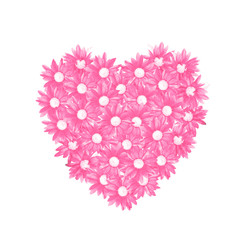 Fototapeta premium Heart of chrysanthemum flowers painted in watercolor isolated on white background.