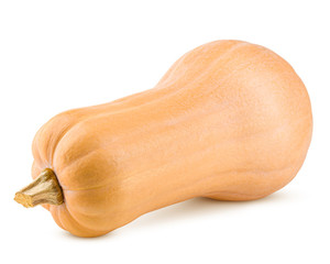 pumpkin butternut squash isolated on white background, clipping path, full depth of field