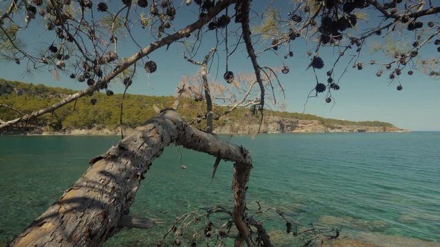 Beautuful View Of Coastline and beach Near Ancient city in summer.Beautiful Sea View Near Cleopatra Beach In Phaselis Kemer Camyuva. View Of Beautiful Rocks And Trees Near The Sea In Turkey.