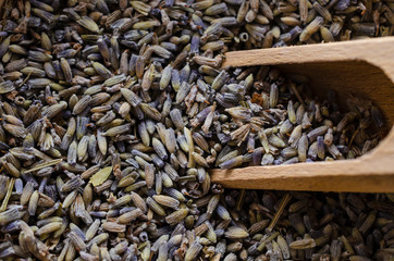 Dried Lavender Background with Wooden Scoop