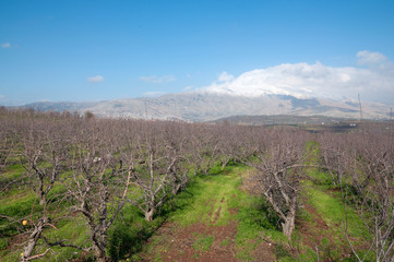 Mount Hermon, upper Galilee, Israel