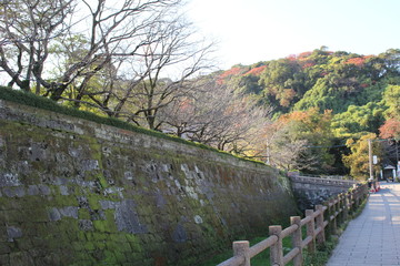 Fototapeta premium Kagoshima Castle, the residence of the Shimazu family
