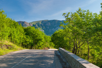 Spring landscape with empty road through mountain forest, Crimean peninsula