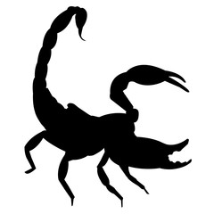 Scorpio silhouette vector icon eps