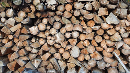 stacked little older tree stumps