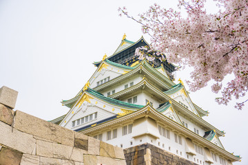 Osaka castle with pink sakura flower winter spring season