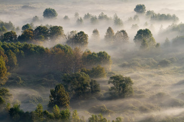 Jesienna panorama na lesie z mgłą, Włochy - 241380768
